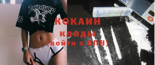 прущие грибы Алзамай