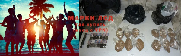 прущие грибы Алзамай