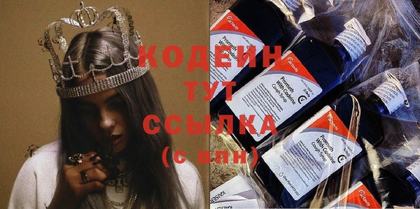 прущие грибы Алзамай