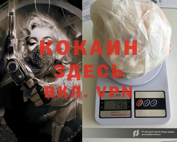 стаф Алексин