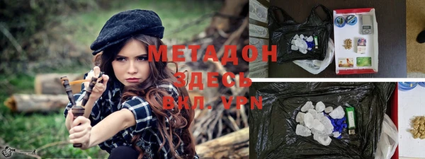 прущие грибы Алзамай