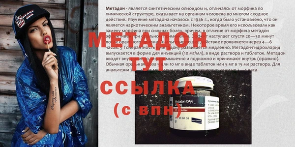 стаф Алексин