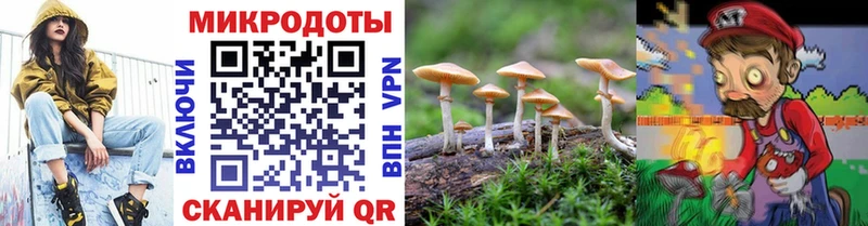 Псилоцибиновые грибы мухоморы  Заозёрный 