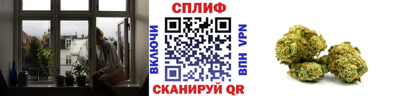 Бошки марихуана конопля  что такое наркотик  shop официальный сайт  Заозёрный 